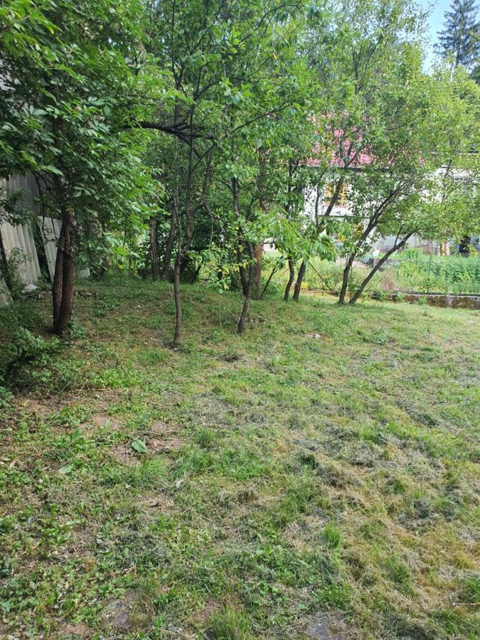 Apartman Runolist 代尔尼采 外观 照片